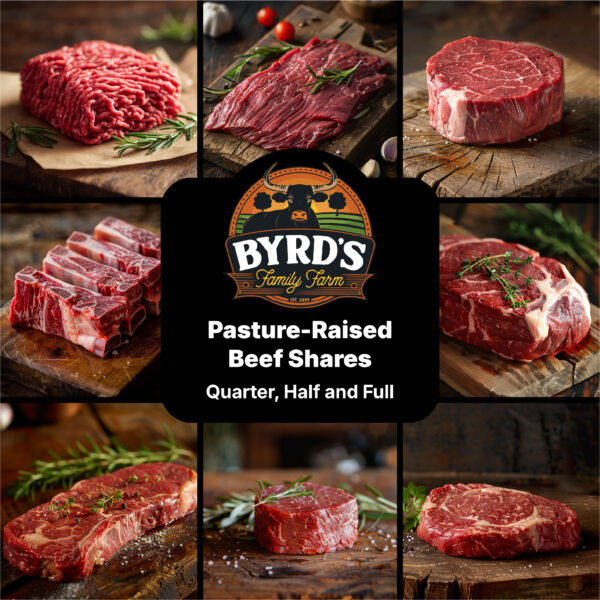 Pasture-Raised Beef – Quarter, Half, or Whole Cow (Deposit)